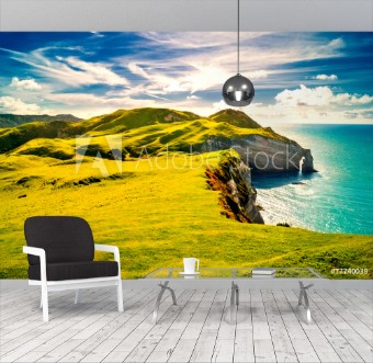 Picture of Irlands Kste